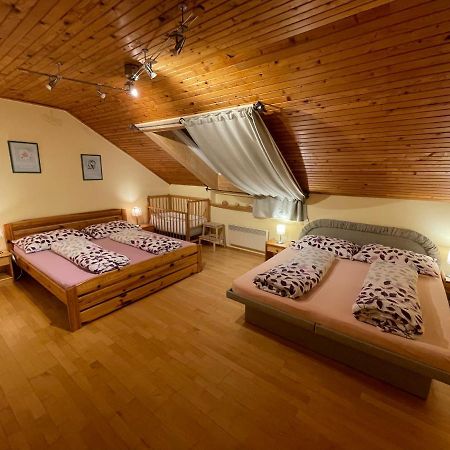 Ubytovani Duskovi Villa Lipno nad Vltavou Dış mekan fotoğraf