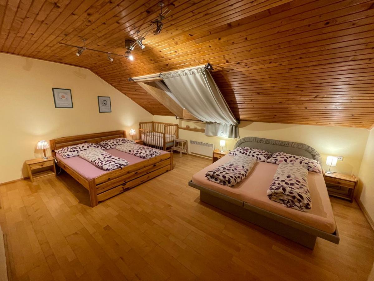 Ubytovani Duskovi Villa Lipno nad Vltavou Dış mekan fotoğraf